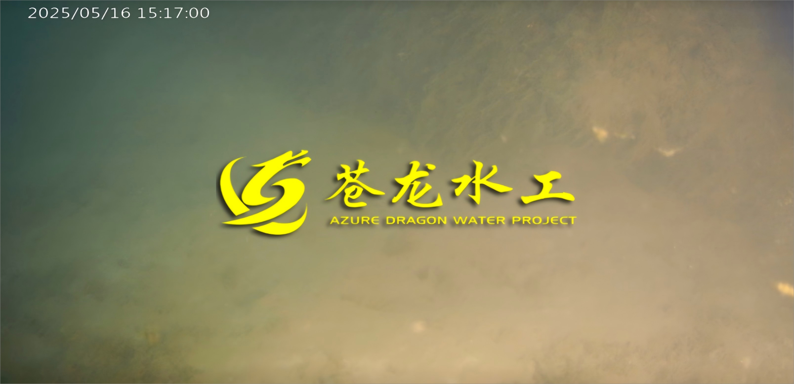 09163828_65607.png